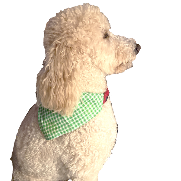 Green & White Chevron Pet Bandana- Fits Over Collar 4 Sizes Available