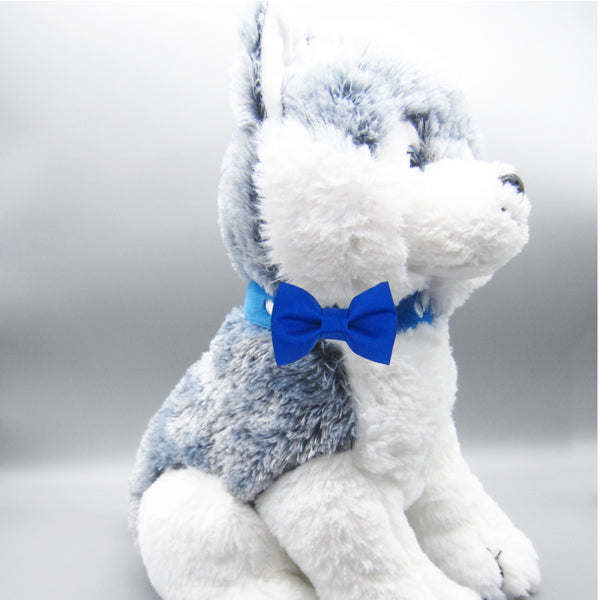 Royal Blue Pet Bow Tie or Sailor Bow-4 Sizes Available
