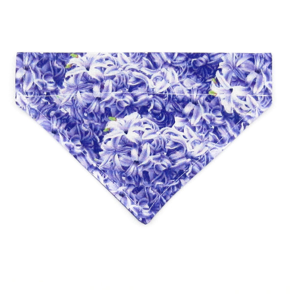 CLEARANCE!  XS Pet Bandana - 12 Colors Available