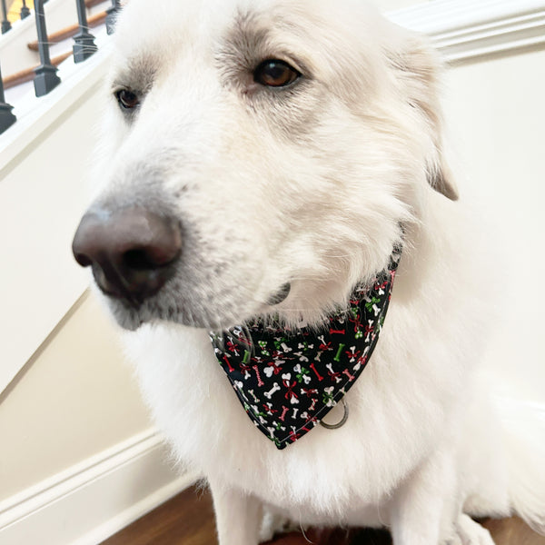 Christmas Dog Bones Pet Bandana- Fits Over Collar 4 Sizes Available