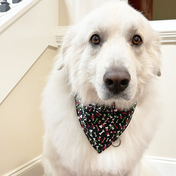 Christmas Dog Bones Pet Bandana- Fits Over Collar 4 Sizes Available
