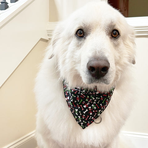 Christmas Dog Bones Pet Bandana- Fits Over Collar 4 Sizes Available