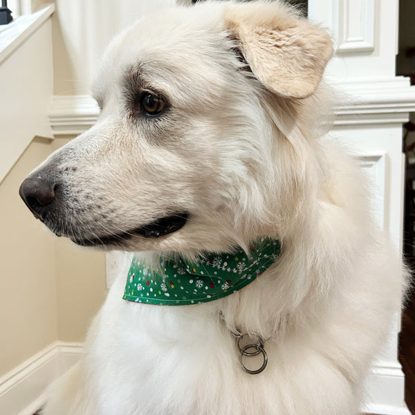 Green Snowflake Pet Bandana- Fits Over Collar 4 Sizes Available