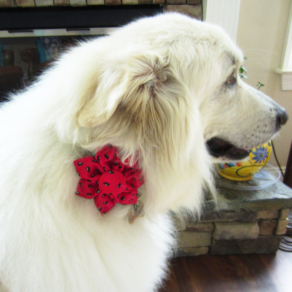 Fall Paw Print Flower For Pet Collar-4 Sizes