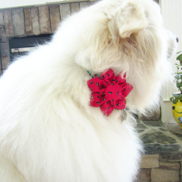 Watermelon Seed Flower For Pet Collar-4 Sizes