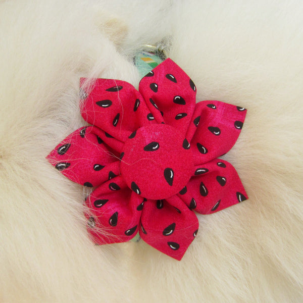 Watermelon Seed Flower For Pet Collar-4 Sizes