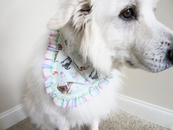 Pastel Paisley W/Ruffle Pet Bandana- Fits Over Collar 4 Sizes Available
