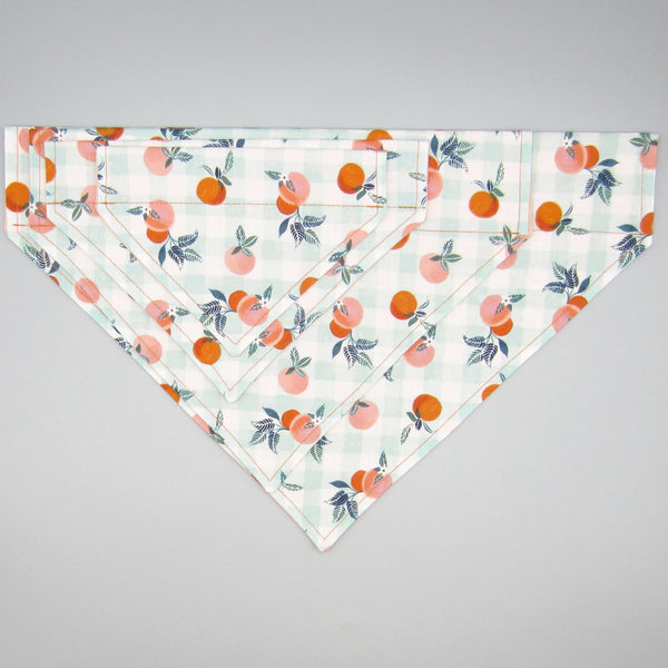 Georgia Peaches Pet Bandana- Fits Over Collar 4 Sizes Available