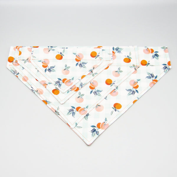 Georgia Peaches Pet Bandana- Fits Over Collar 4 Sizes Available
