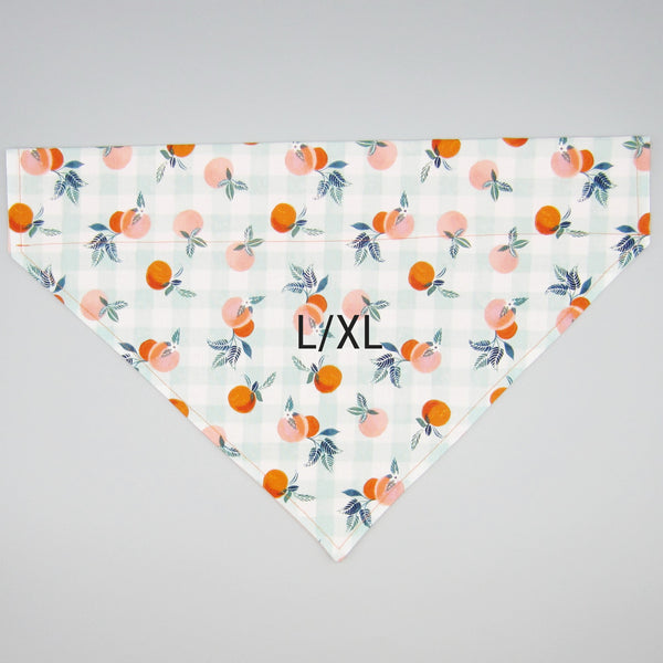 Georgia Peaches Pet Bandana- Fits Over Collar 4 Sizes Available