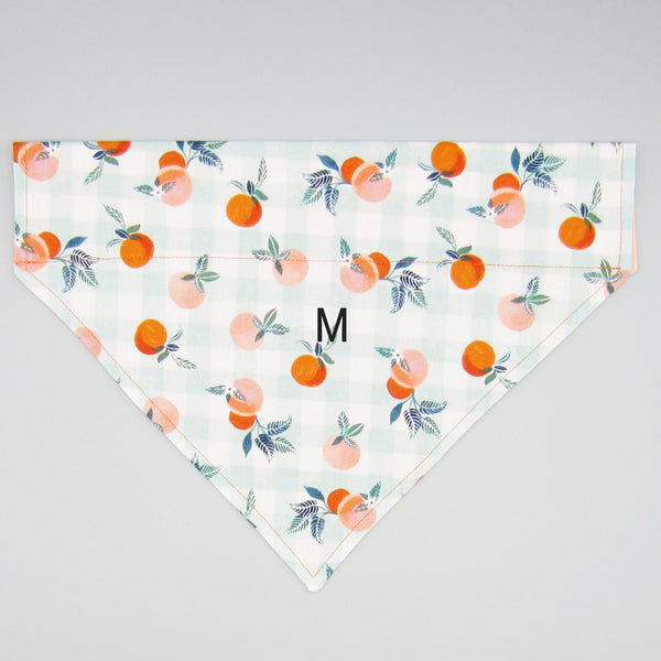 Georgia Peaches Pet Bandana- Fits Over Collar 4 Sizes Available