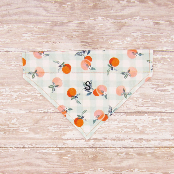 Georgia Peaches Pet Bandana- Fits Over Collar 4 Sizes Available