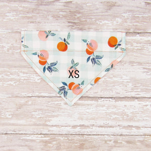 Georgia Peaches Pet Bandana- Fits Over Collar 4 Sizes Available