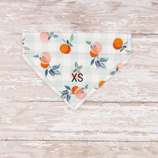 Georgia Peaches Pet Bandana- Fits Over Collar 4 Sizes Available