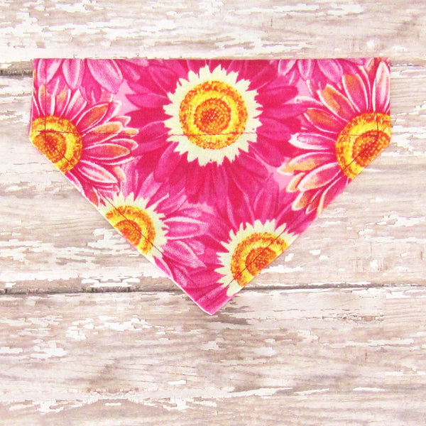 Hot Pink Sunflower Pet Bandana- Fits Over Collar 4 Sizes Available - Hold It!