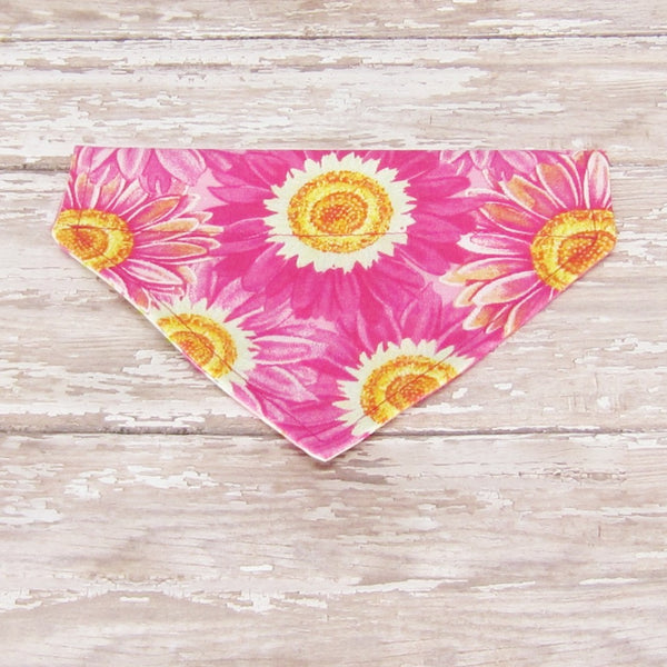 Hot Pink Sunflower Pet Bandana- Fits Over Collar 4 Sizes Available - Hold It!