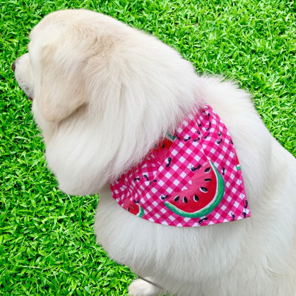 Watermelon Picnic Plaid Pet Bandana- Fits Over Collar 4 Sizes Available