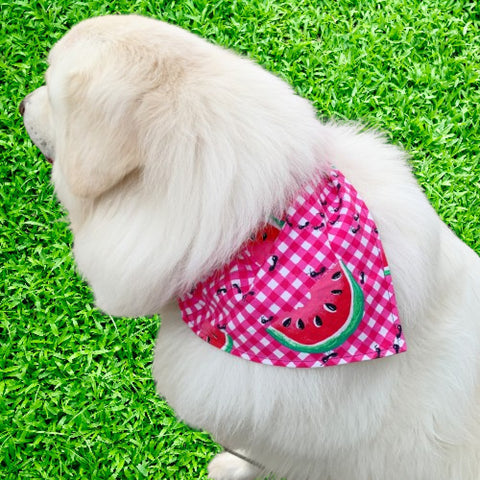 Watermelon Picnic Plaid Pet Bandana- Fits Over Collar 4 Sizes Available