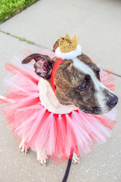 Red & White Dog Collar Tutu & Gold Crown Headband - Hold It!