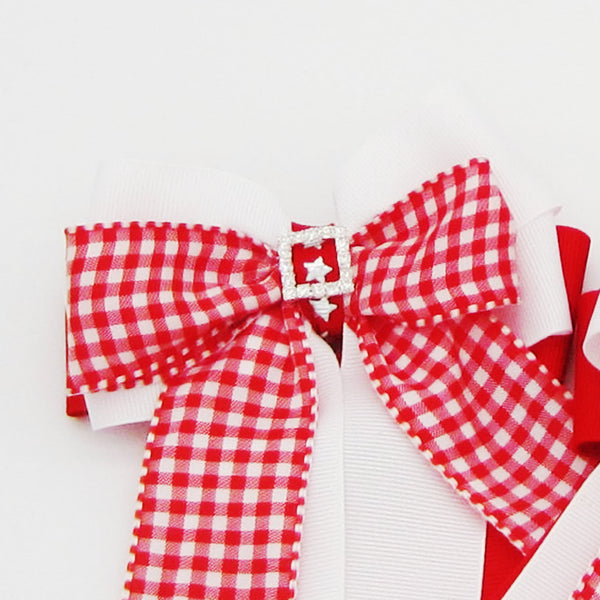 Red & White Gingham Equestrian Hair Bows-Available on a French Barrette, Hair Clip, or Pony O