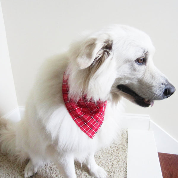 Red & Black Tartan Plaid Holiday Pet Bandana- Fits Over Collar 4 Sizes Available