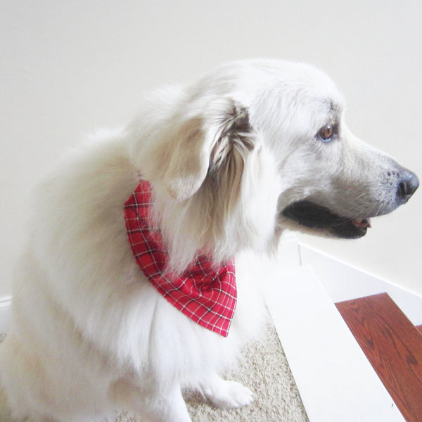 Red & Black Tartan Plaid Holiday Pet Bandana- Fits Over Collar 4 Sizes Available