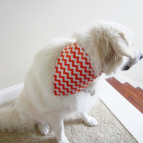 Orang & White Chevron Fall Pet Bandana- Fits Over Collar 4 Sizes Available