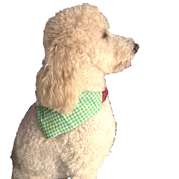 Red White & Blue Sharks Pet Bandana-4 Sizes Fits Over Collar