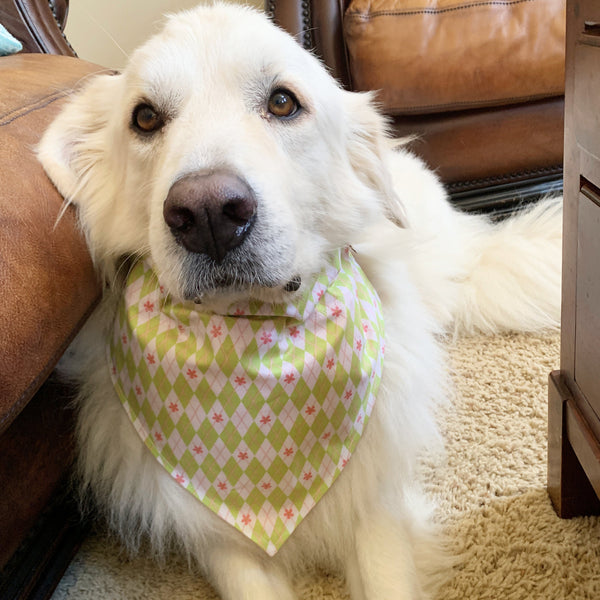 Lime Green & White Polka Dot Pet Bandana- Fits Over Collar 4 Sizes Available