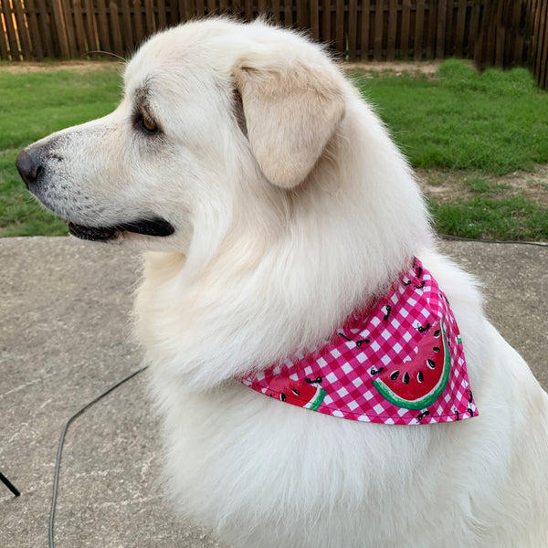 Hot Pink & White Quatrefoil Pet Bandana- Fits Over Collar 4 Sizes Available