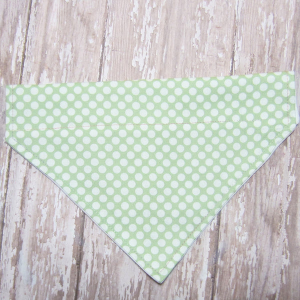 Green & White Polka Dot Pet Bandana-4 Sizes Fits Over Collar - Hold It!