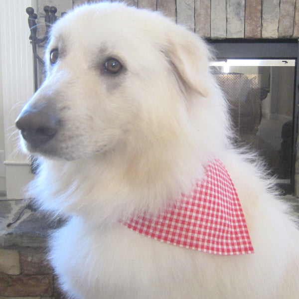 White & Navy Anchor Pet Bandana-4 Sizes Fits Over Collar