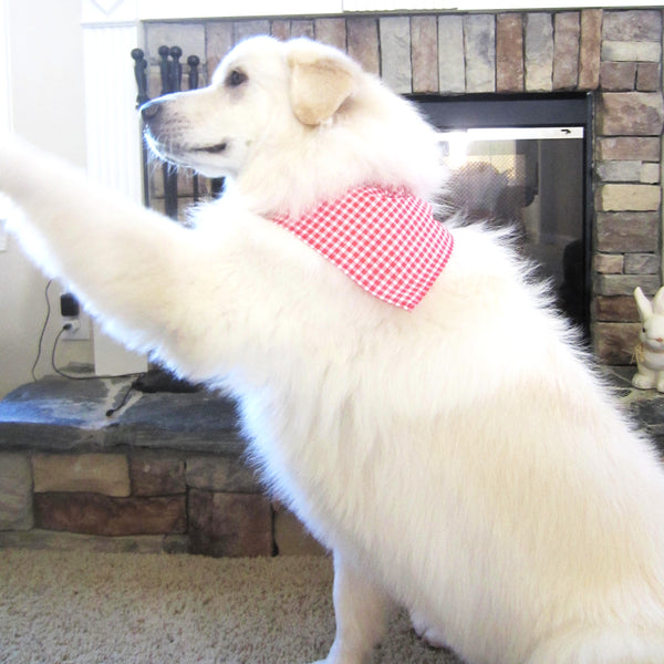 Christmas Pet Bandana or Bow Tie-4 Sizes Fits Over Collar