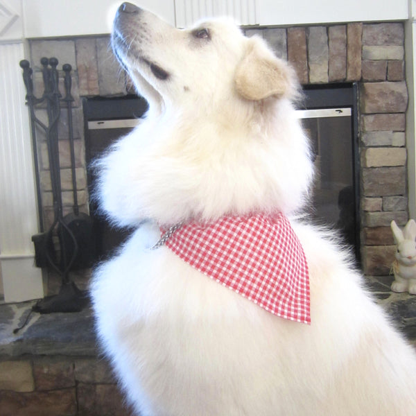 Easter Geometric Print Pet Bandana-4 Sizes Fits Over Collar