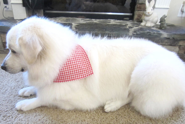 Red Sketch Bias Gingham Pet Bandana-4 Sizes Fits Over Collar